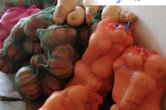 93039932_970814150002217_2354808350807425024_n