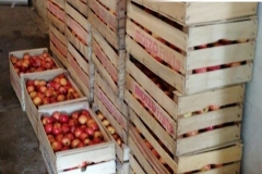 93412191_970814080002224_7187203001885392896_n