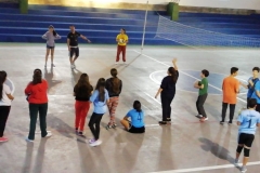 voley